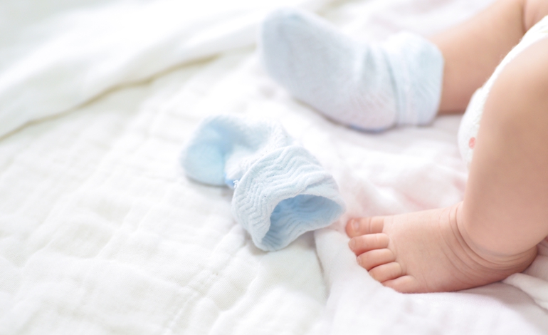 Llega un nuevo hermano a la casa